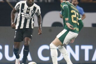 botafogo-recebe-palmeiras-no-primeiro-jogo-das-oitavas-da-libertadores