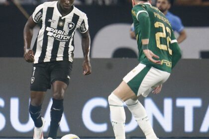 botafogo-recebe-palmeiras-no-primeiro-jogo-das-oitavas-da-libertadores