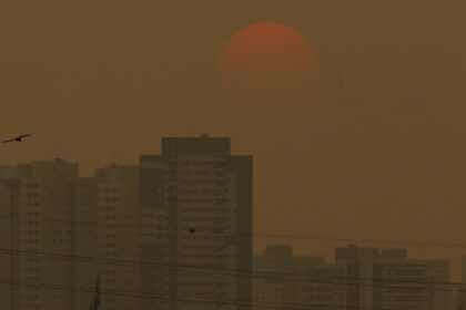 pesquisa-mostra-capitais-na-contramao-de-meta-para-reducao-de-emissoes