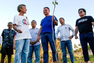 politica-de-arborizacao-de-botelho-aguarda-sancao-do-governo