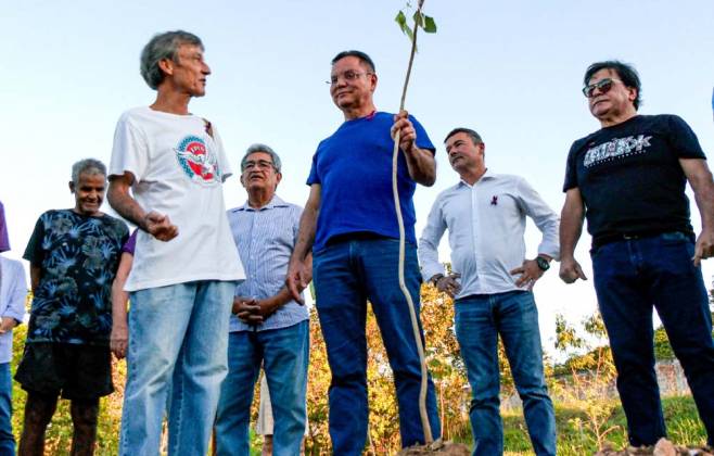 politica-de-arborizacao-de-botelho-aguarda-sancao-do-governo