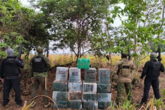 policia-civil-apreende-500-tabletes-de-cocaina-enterrados-em-sitio-na-fronteira