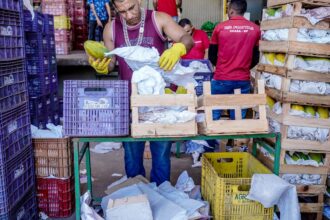 ccj-do-senado-aprova-reducao-de-imposto-para-mercados-doarem-alimentos