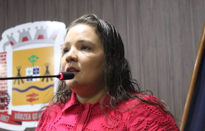 vereadores-de-vg-derrubam-veto-e-aprovam-programa-“pindorama”-para-fortalecer-arte-nas-escolas