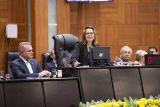 audiencia-publica-aponta-necessidade-de-mais-investimentos-para-combater-incendios-no-pantanal