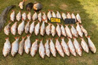 sema-apreende-25-quilos-de-peixe-na-regiao-de-rosario-oeste