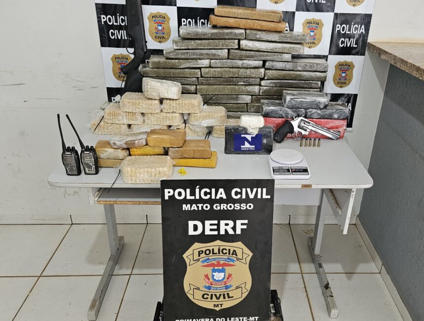 policia-civil-apreende-50-pecas-de-entorpecentes-em-primavera-do-leste