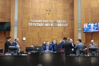 almt-apresenta-balanco-de-atuacao-parlamentar-de-2024