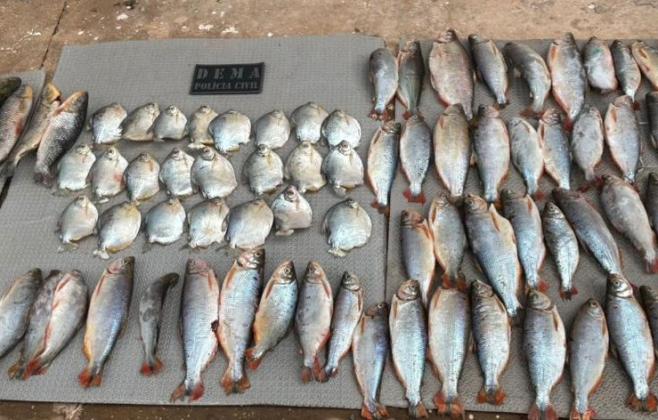 policia-civil-e-sema-combatem-pesca-ilegal-em-barao-de-melgaco-e-prendem-um-pescador-em-flagrante