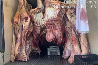 acao-conjunta-da-pm-e-indea-apreende-2,8-toneladas-de-carnes-transportadas-de-forma-irregular