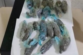 mulher-e-presa-ao-tentar-entrar-com-drogas-em-unidade-prisional-de-varzea-grande