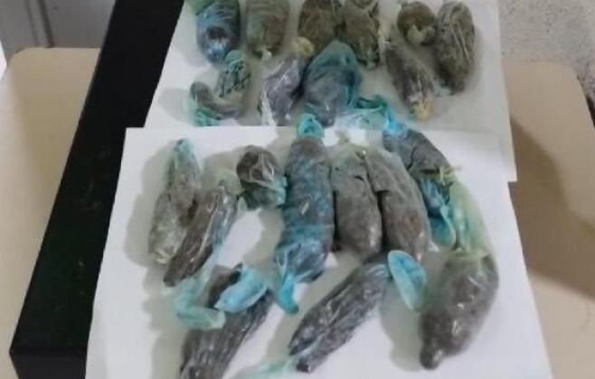 mulher-e-presa-ao-tentar-entrar-com-drogas-em-unidade-prisional-de-varzea-grande