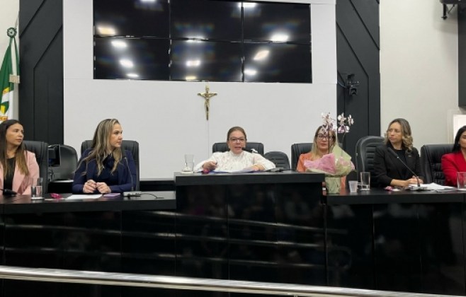 em-audiencia-publica,-paula-calil-destaca-a-importancia-da-formalizacao-no-empreendedorismo-feminino